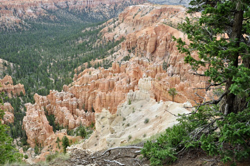 Bryce Point in Bryce Canyon, Utah